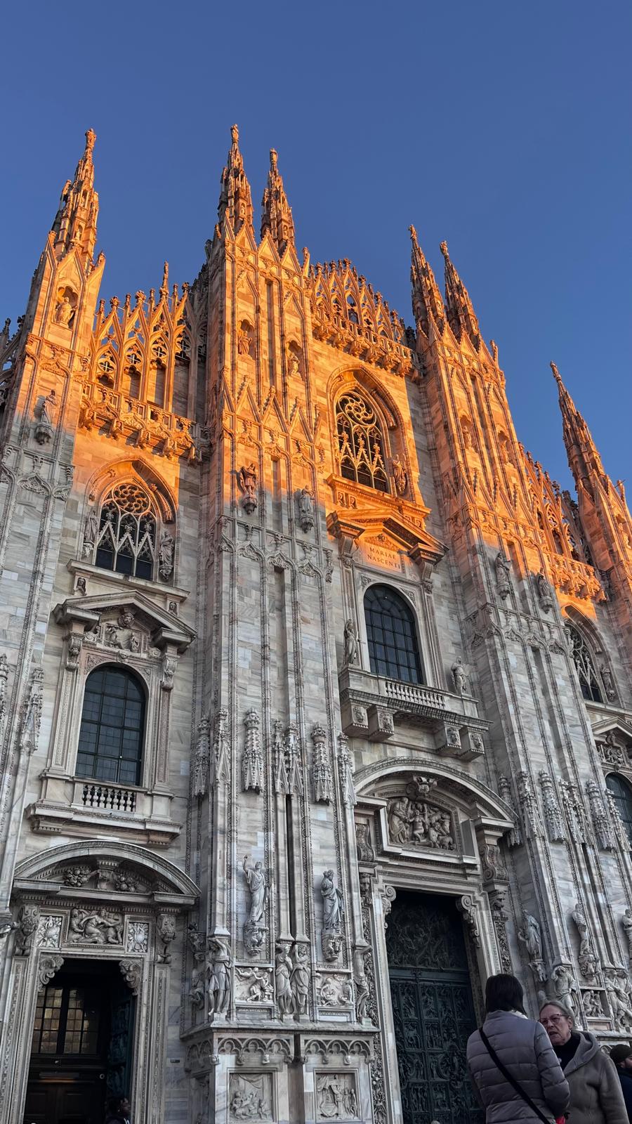 WhatsApp Image 2026-03-24 at 18.14.24