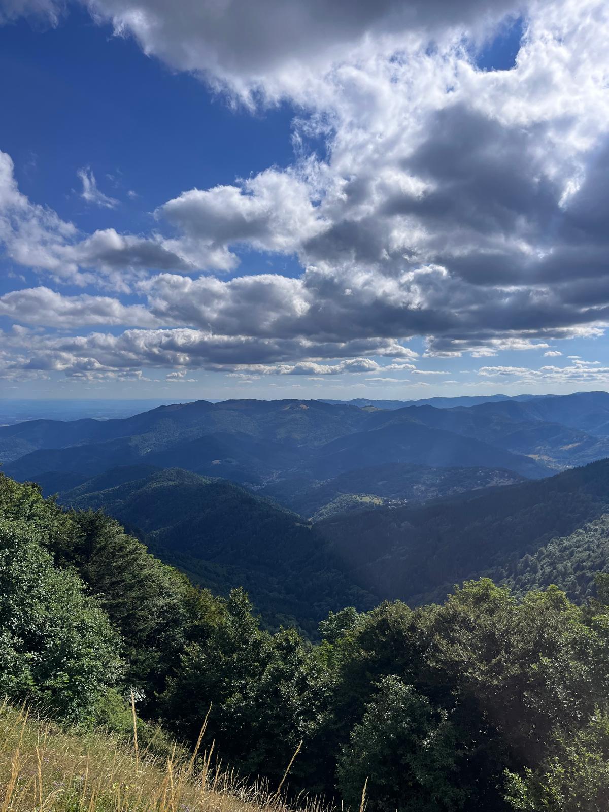 WhatsApp Image 2026-03-24 at 18.18.36