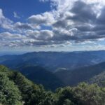 WhatsApp Image 2026-03-24 at 18.18.36